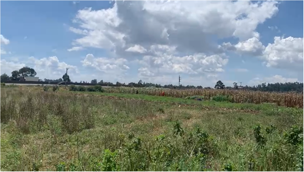  Muguga ¼ acres